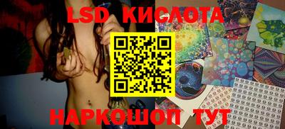 стаф Шебекино