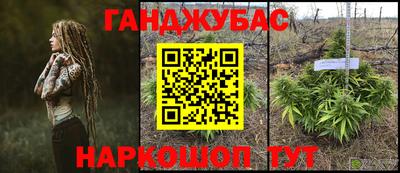 стаф Шебекино